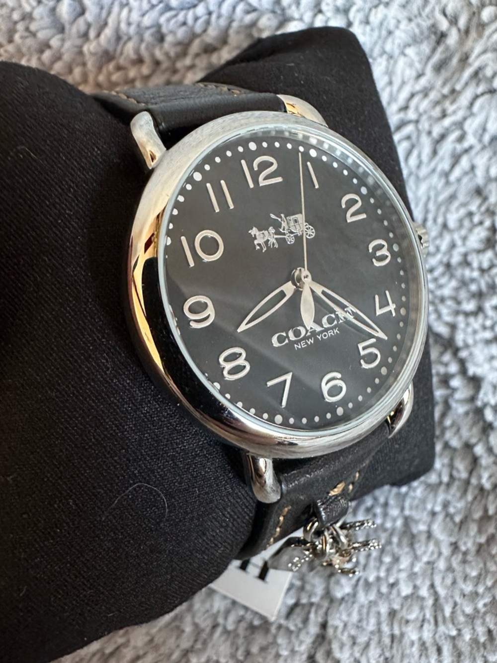 Coach Delancey Watch with Rexy Charm